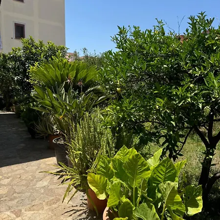 Da Peppe&giorgia Hébergement de vacances Olbia